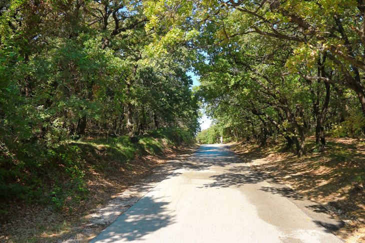 Ilustracija (Snimio Marin Gospić)