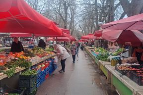 (Snimila Jelena Milović)