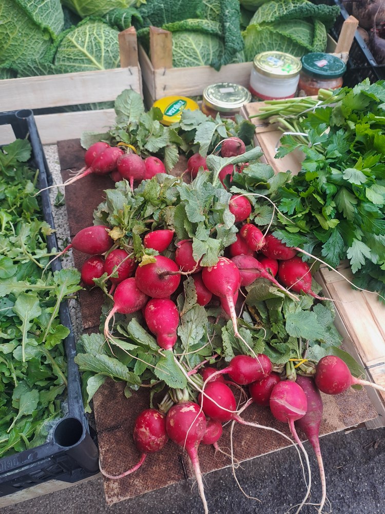 (Snimila Jelena Milović)