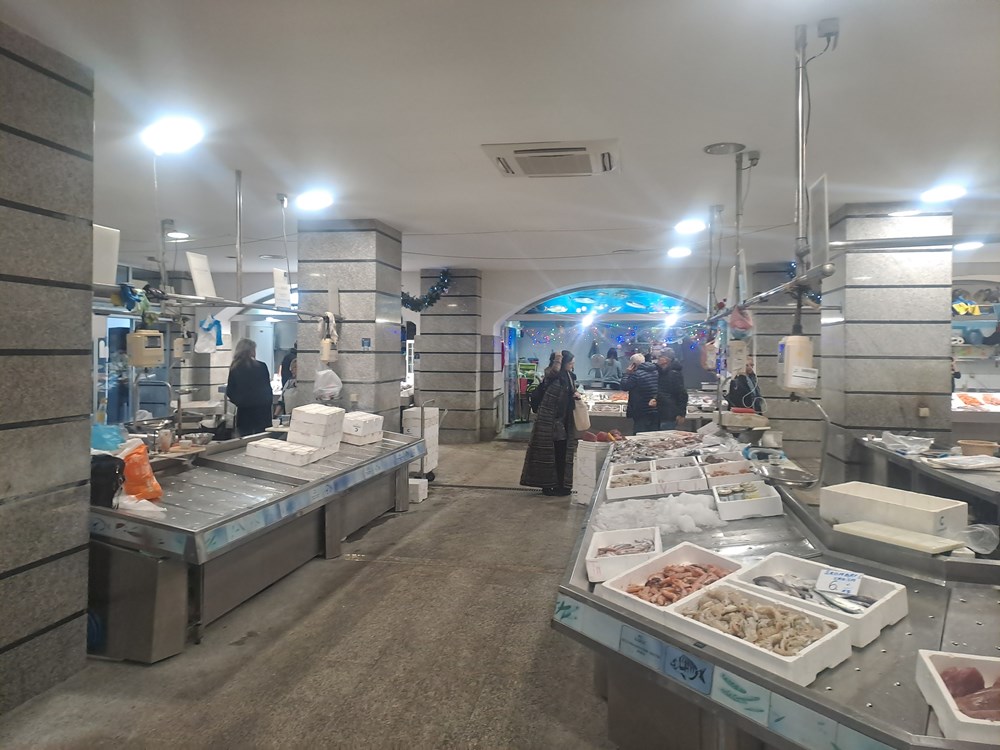 (Snimila Jelena Milović)