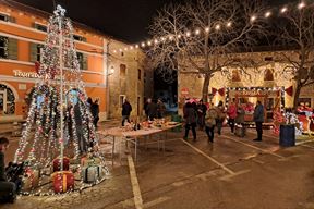 (Snimio Zoran Oljača)