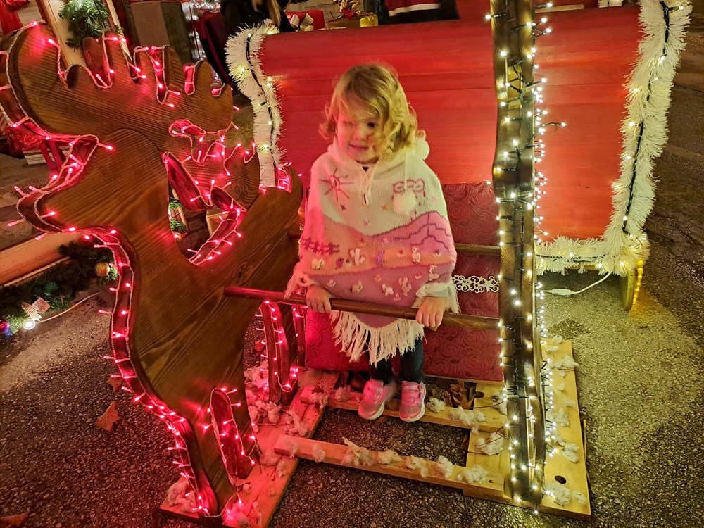 (Snimio Zoran Oljača)