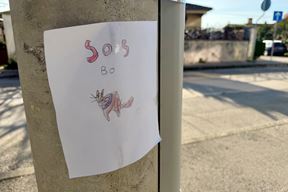 (Snimio čitatelj Glasa Istre)