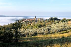 (Snimio Nikola Pušonjić)