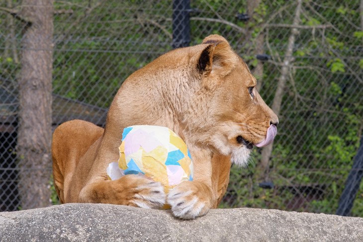 Ilustracija (Snimio Tomislav Miletic / Pixsell)