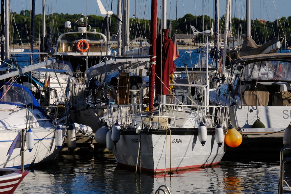 (Snimio Milivoj Mijo&scaron;ek)