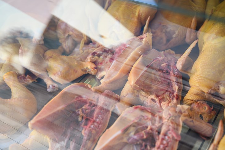 Ilustracija (Snimio: Luka Jeličić)