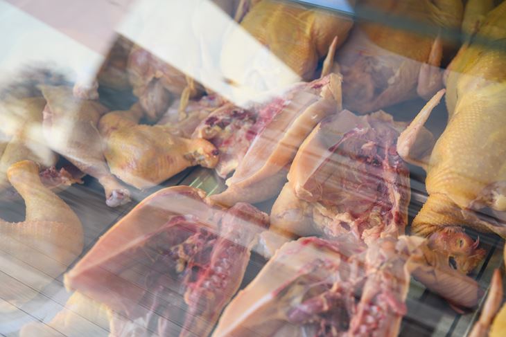 Ilustracija (Snimio: Luka Jeličić)