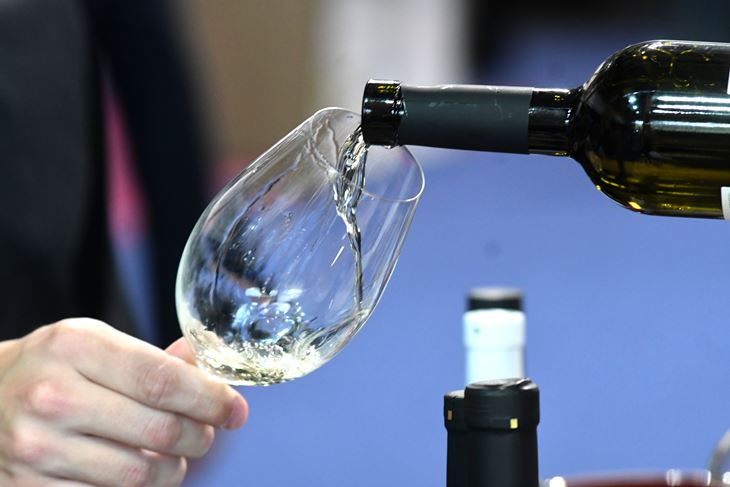 (Snimio Milivoj Mijošek)