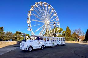 (Foto: Advent u Puli)