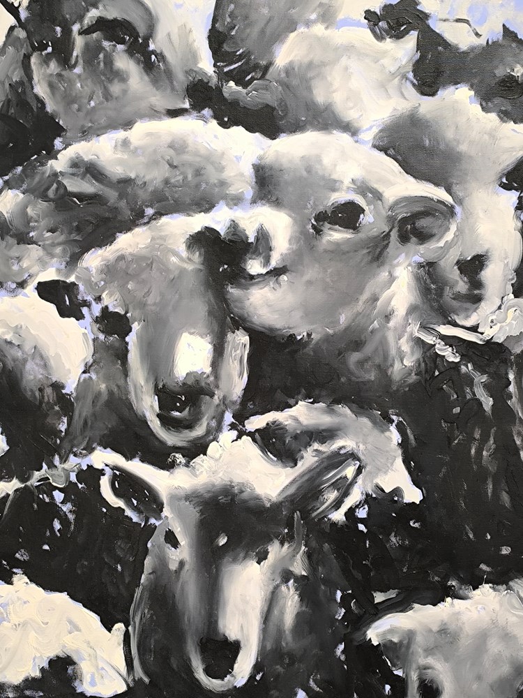 (Snimio Zvonimir Guzić)