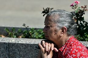 (Snimio Davor Kovacevic)