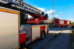 Ilustracija (Pexels)