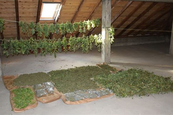 (Foto: PU virovitičko-podravska)