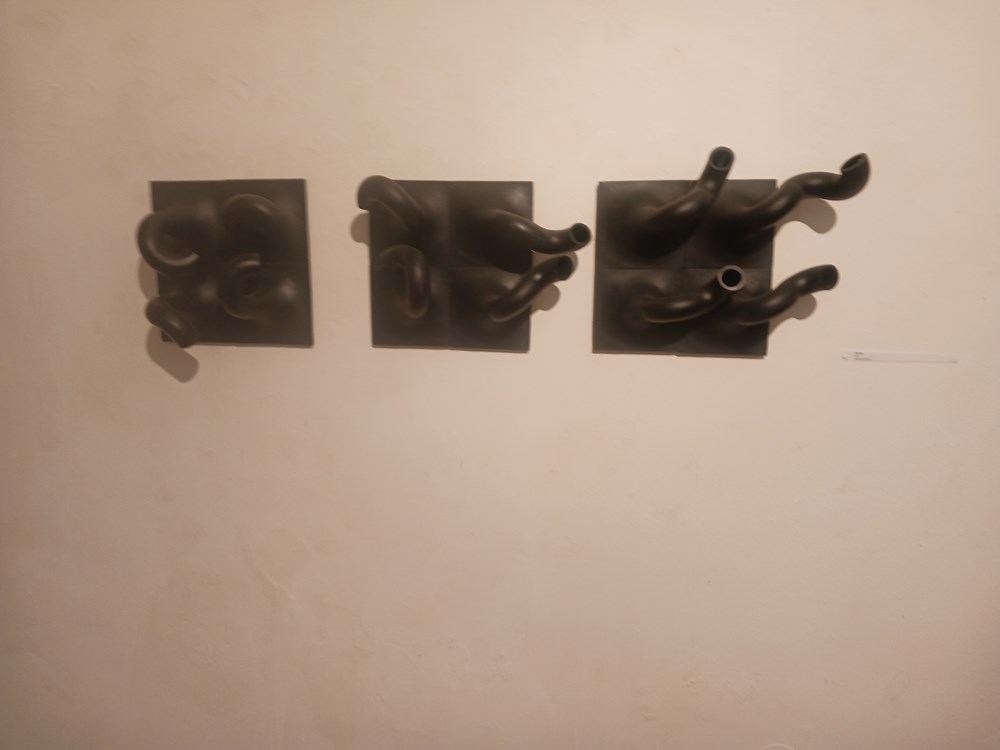 (Snimila Vanesa Begić)