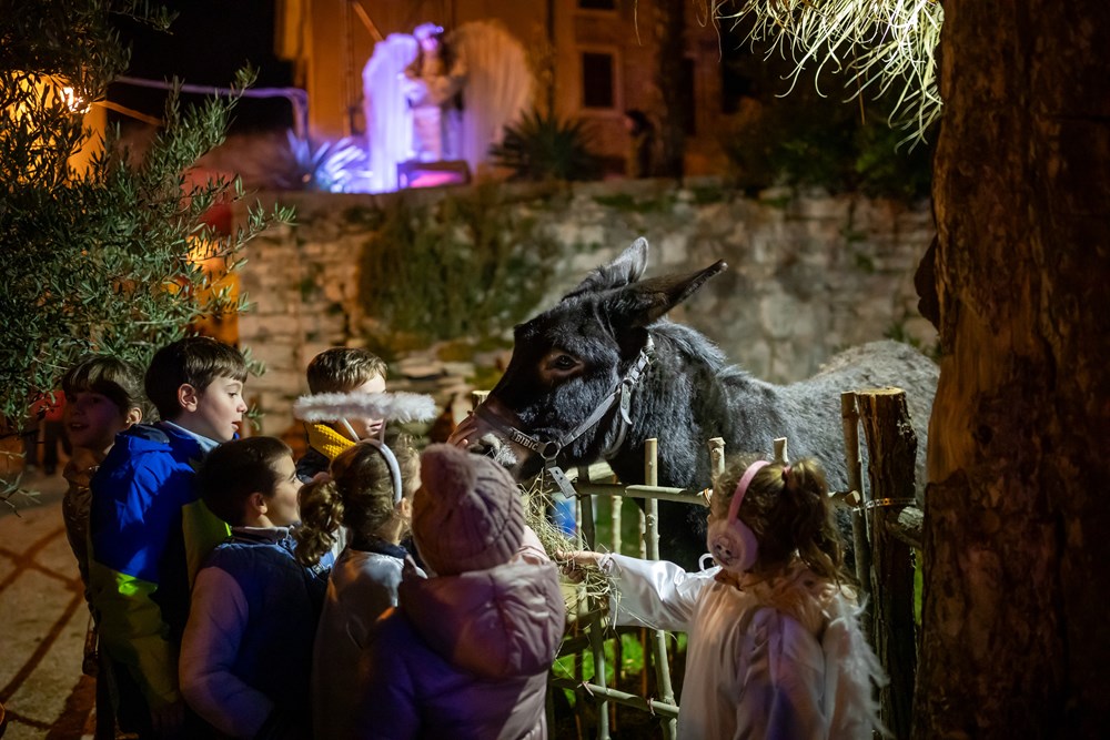 (Općina Sveti Lovreč)