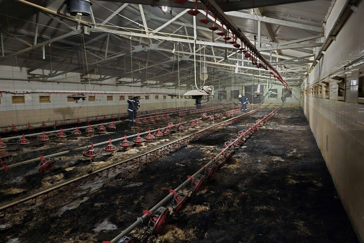 (Dvd Veliki Bukovec)