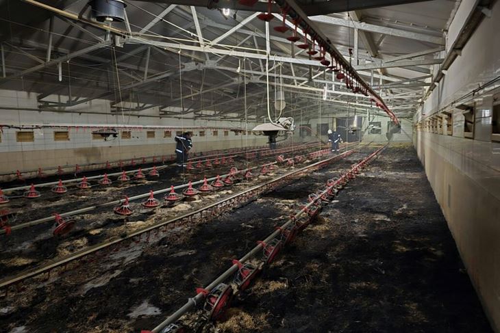 (Dvd Veliki Bukovec)