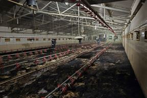 (Dvd Veliki Bukovec)