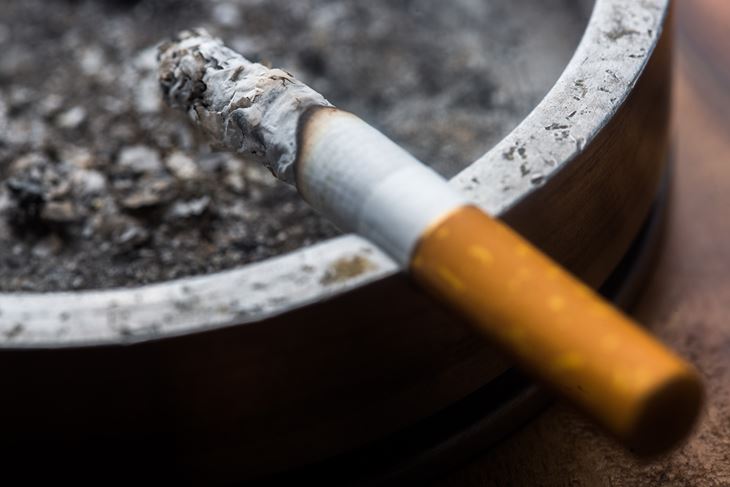 (Snimio Nel Pavletic / Pixsell)