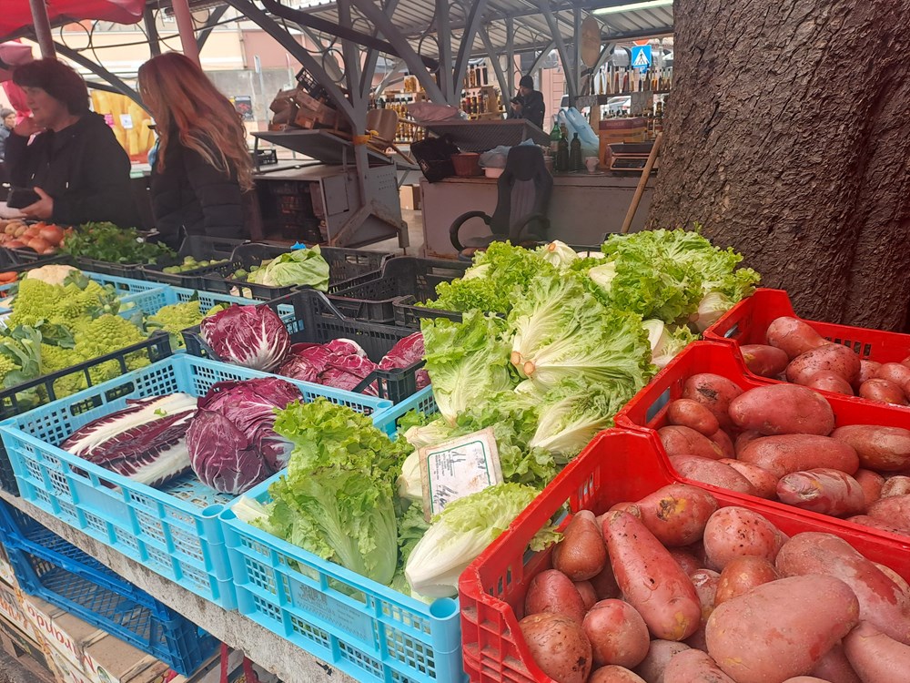 (Snimila Jelena Milović)