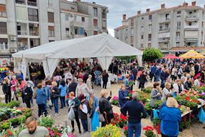 (Snimio Branko Biočić)