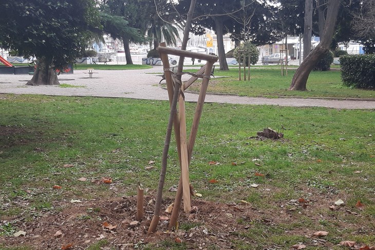 (Snimila čitateljica Glasa Istre)