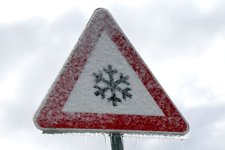 Ilustracija (Snimio Sergej Drechsler)