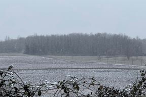 (Snimio Petar Radovan / Istramet)