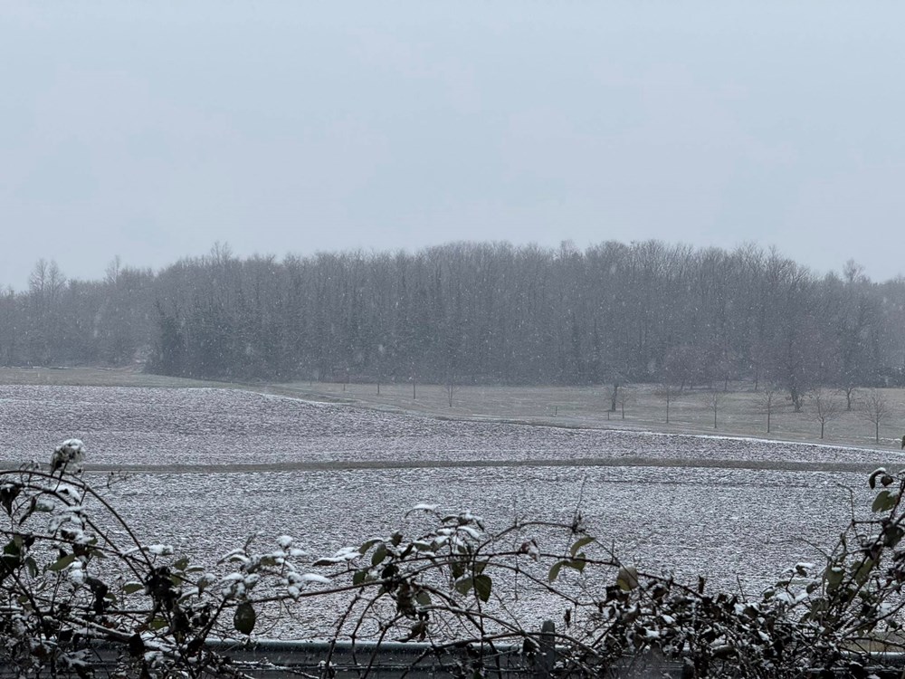 (Snimio Petar Radovan / Istramet)