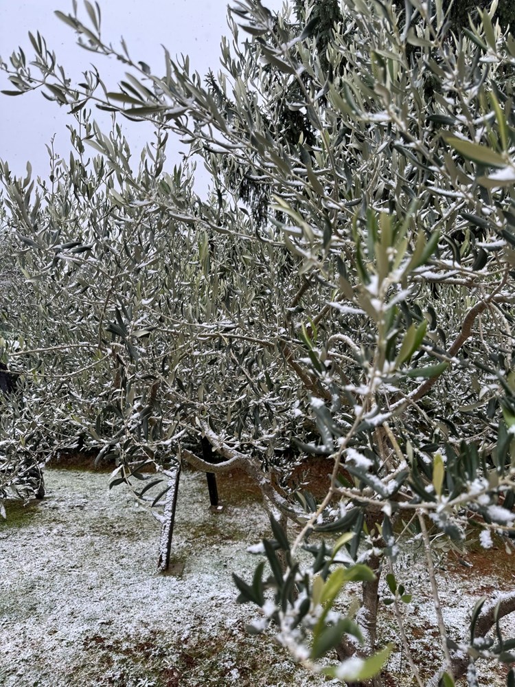 Stancija Pataj, Pazin (Foto: Neverin.hr)