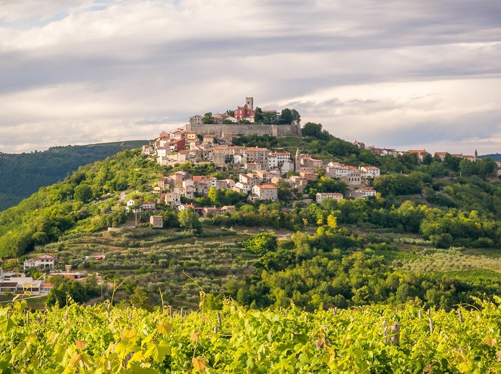 (Općina Motovun)