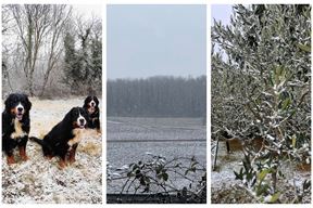 (Foto: Kristijan Frančin, Petar Radovan, Neverin.hr)
