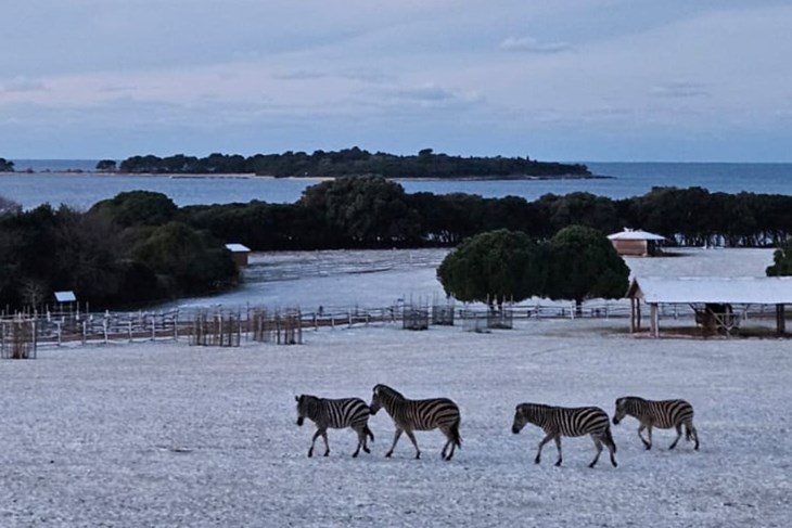 (Foto: Nacionalni park Brijuni)