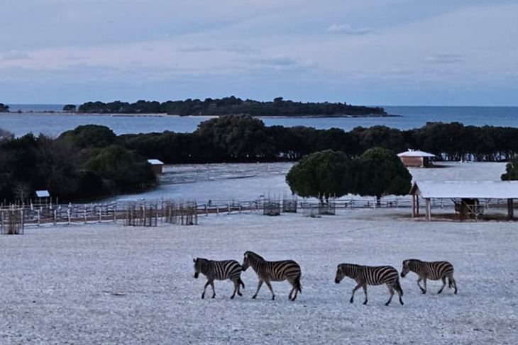 (Foto: Nacionalni park Brijuni)