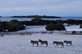 (Foto: Nacionalni park Brijuni)