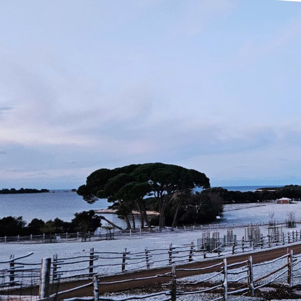 (Foto: Nacionalni park Brijuni)