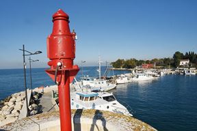 Ilustracija (Arhiva Novog lista)