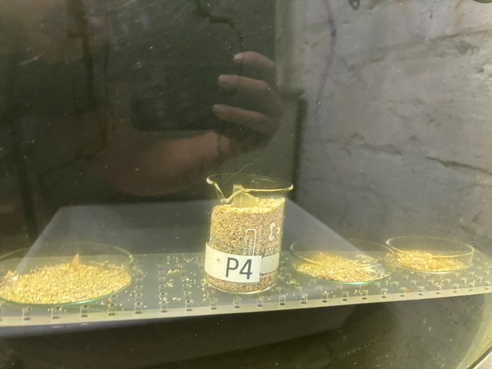 (Aquarium Pula / Facebook)