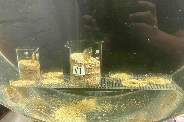 (Aquarium Pula / Facebook)