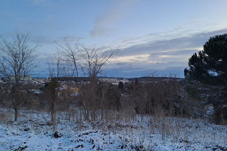 (Snimila Mirjana Vretenar)