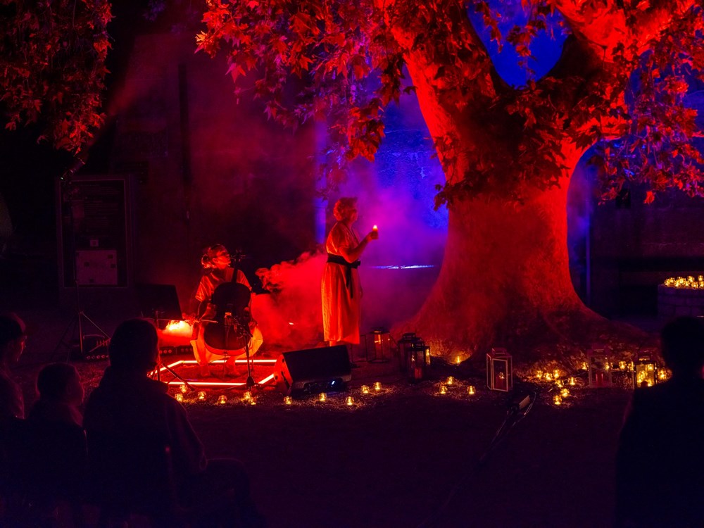 (Snimio Giordano Cellich)