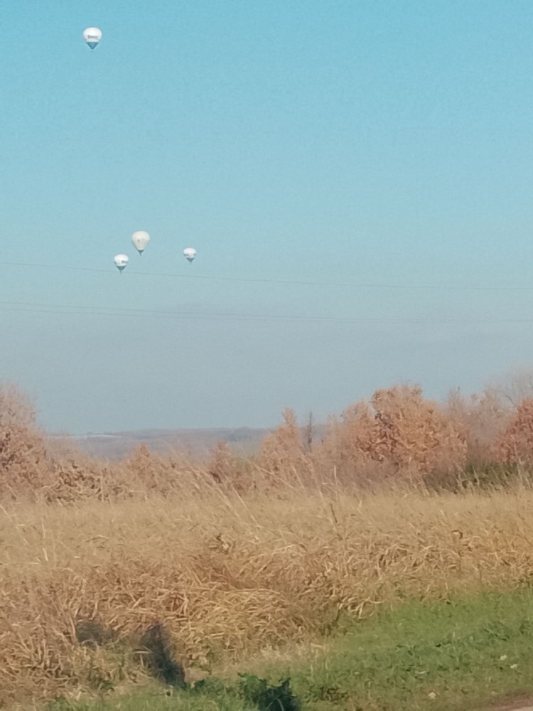 Gedići (Foto: Facebook) 