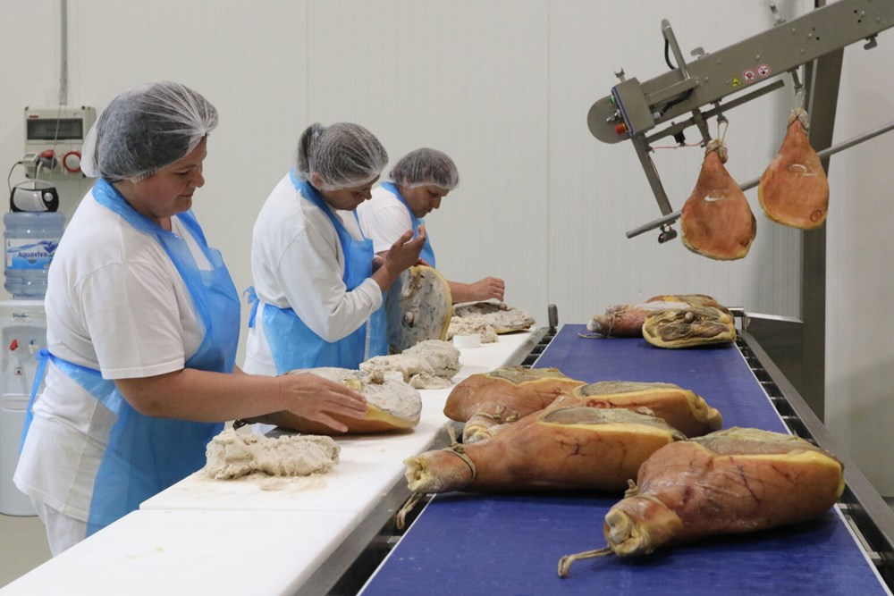 (Snimio Gojko Mitić)