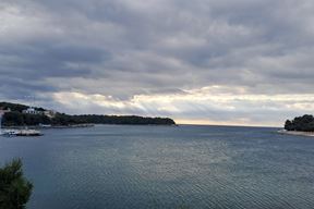 (Snimila Mirjana Vretenar)