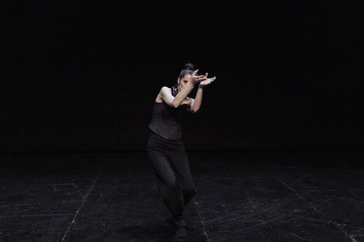 (Snimila Jelena Janković)