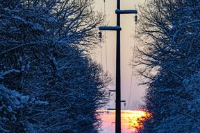 Ilustracija (Pexels)