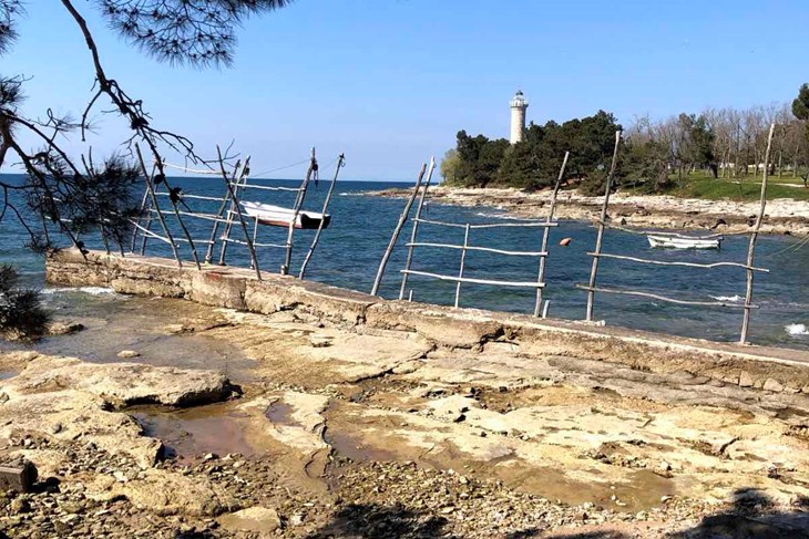 (Snimio Nikola Pušonjić)