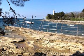 (Snimio Nikola Pušonjić)