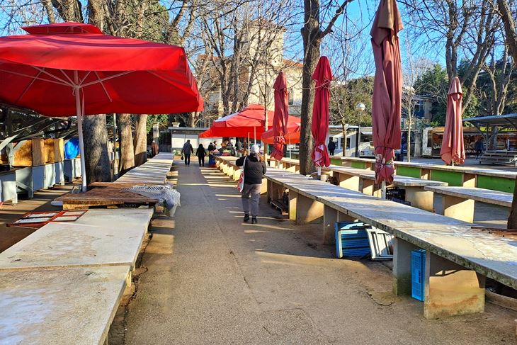 (Snimio Zoran Oljača)